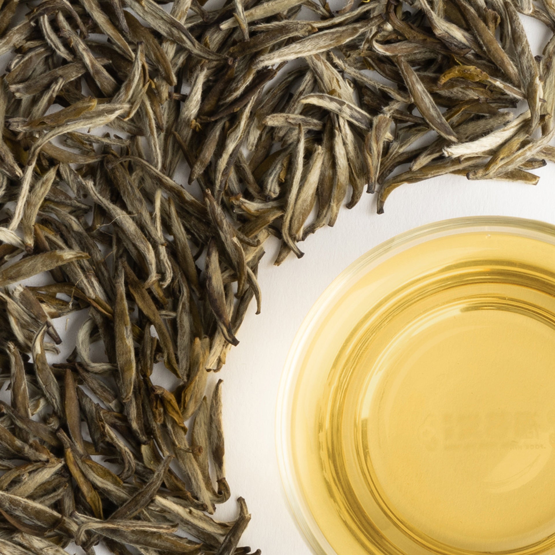 福鼎茉莉銀針茶師精選 (2025年新茶)