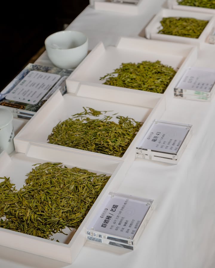 【福茗堂傳媒茶聚|春季綠茶發佈會】