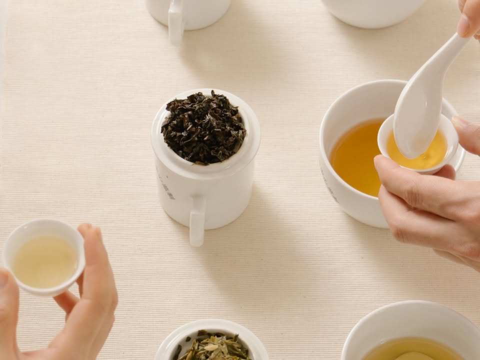 【清香型VS傳統型鐵觀音 | 福茗堂自家茶園】