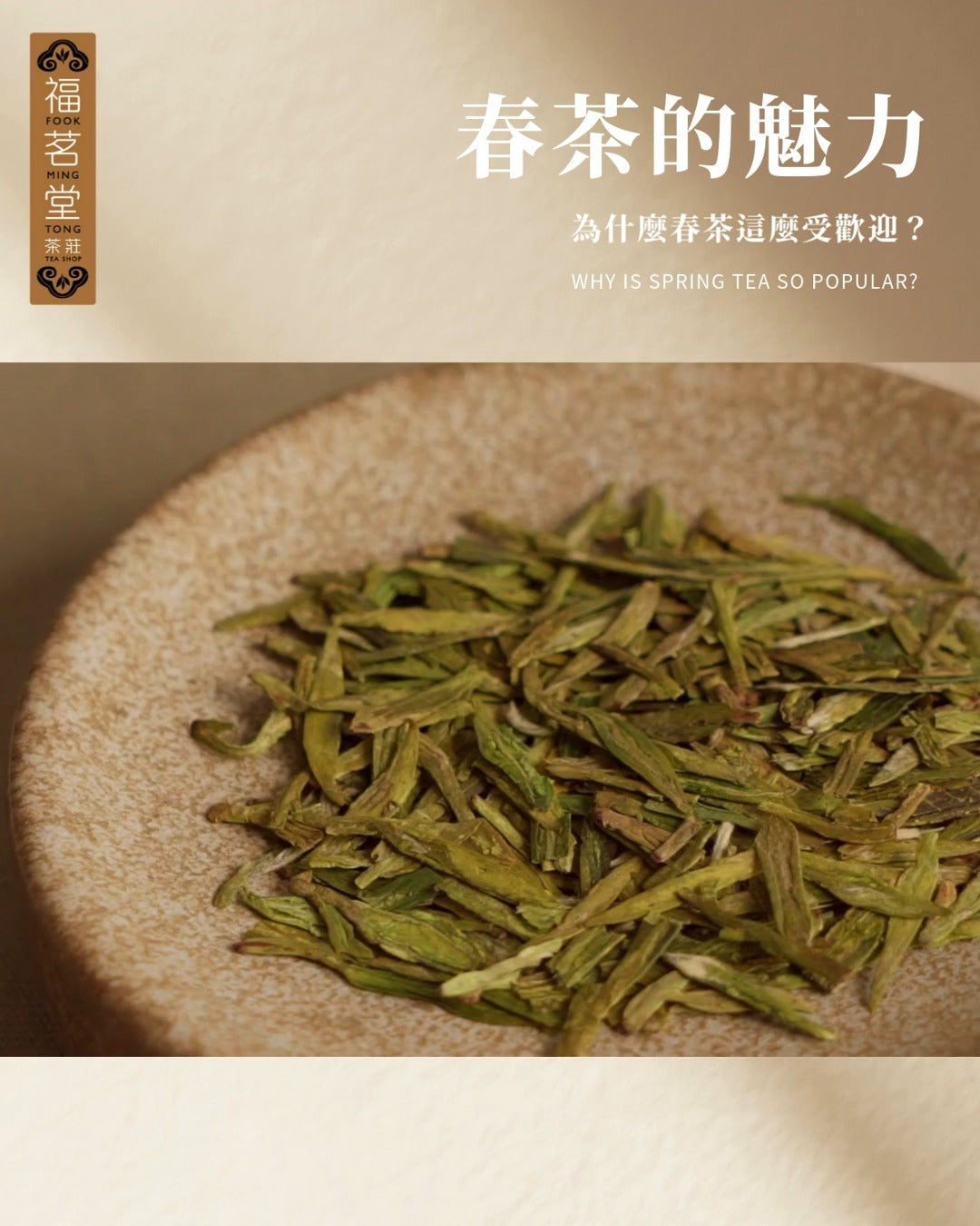 為什麼春茶這麼受歡迎？