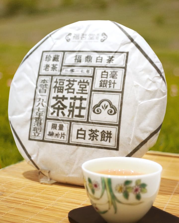 【品嘗百味人生 | 福鼎銀針白毫老茶餅】