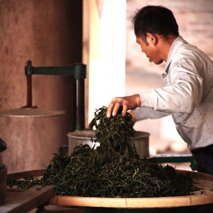 【鐵觀音秋茶 – 手工炭焙鐵觀音】