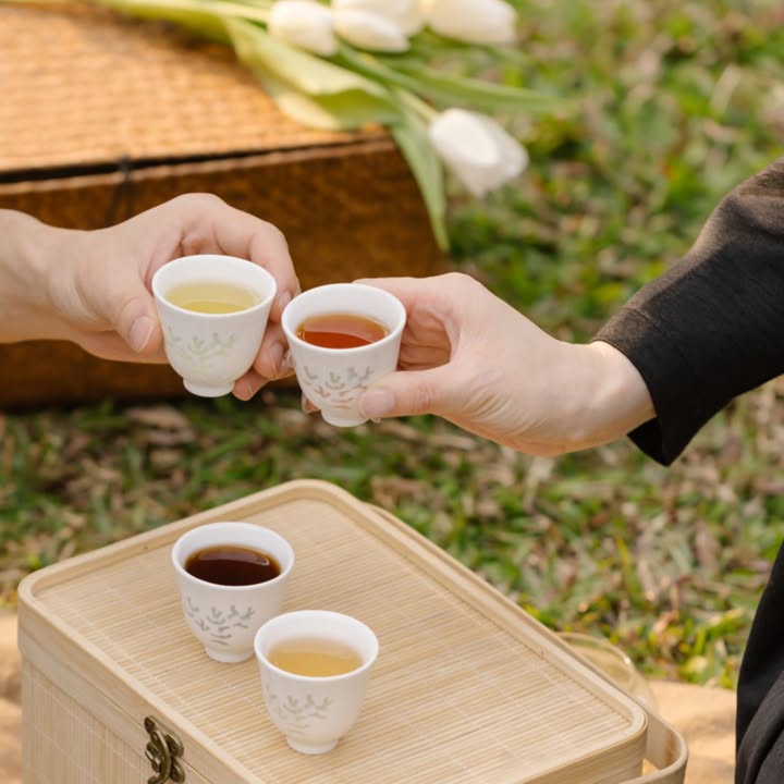 【福茗堂冬日品茶工作坊】