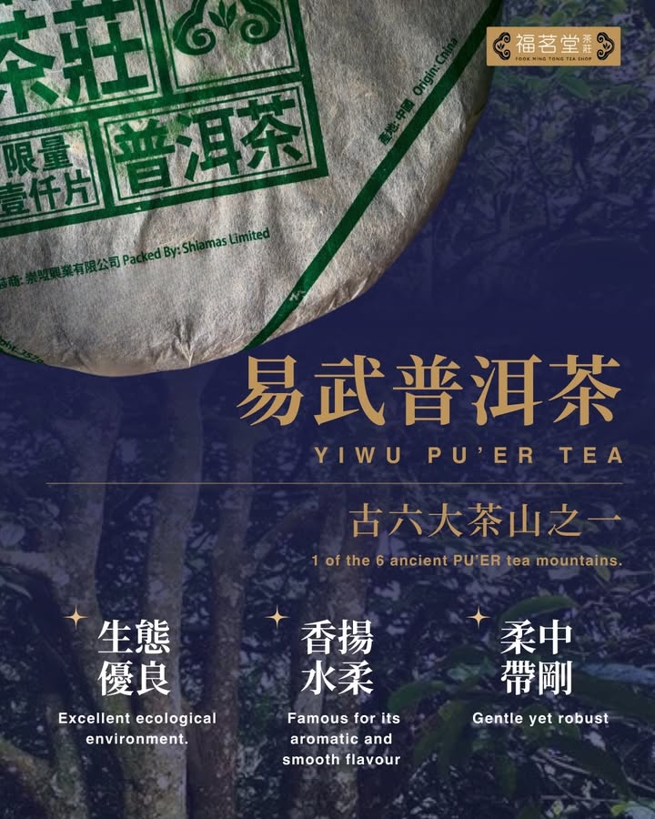 普洱知多一點點 – 易武