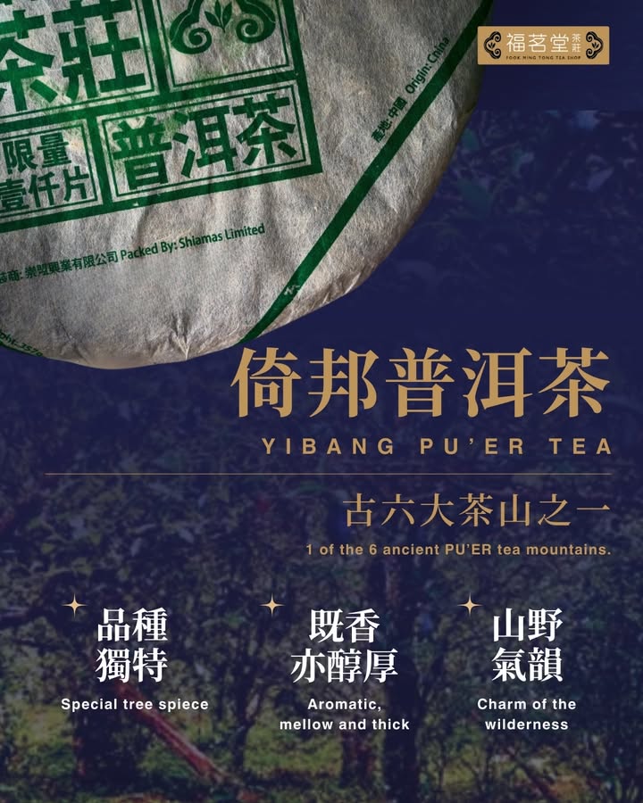 普洱知多一點點 – 倚邦