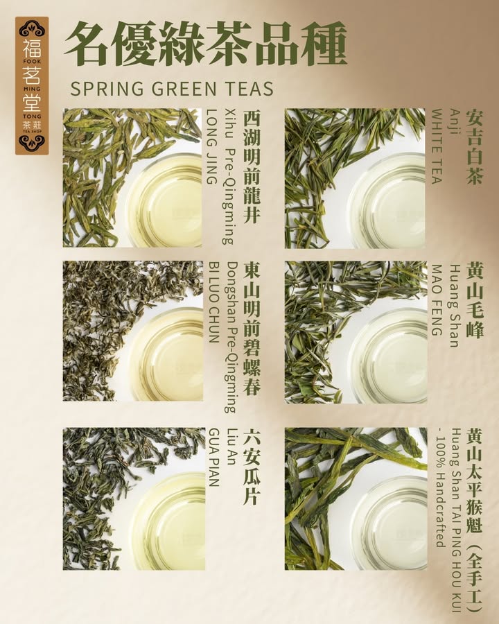春茶上市｜江南绿意，一盞知春