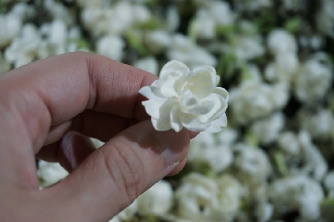 夜訪茉莉花茶廠第2部：高溫下的香氣煉金術